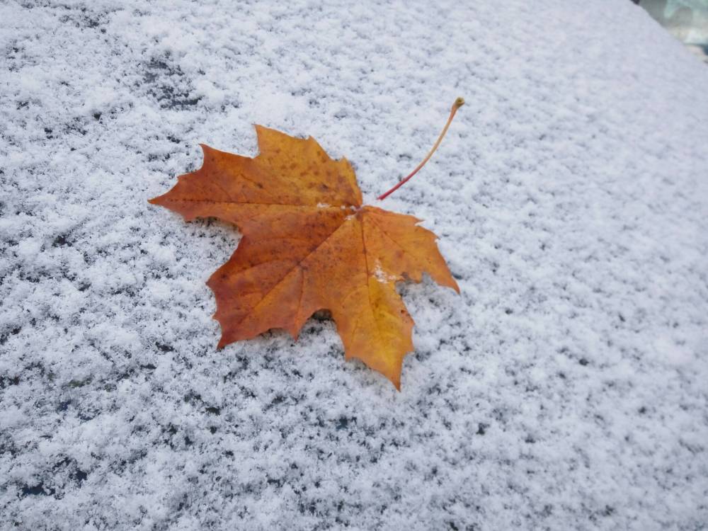 ​В конце октября температура в Прикамье будет около 0˚ и пройдет мокрый снег