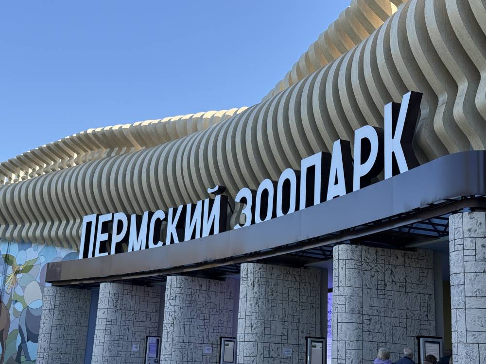 В Пермском зоопарке меняется генеральный директор 