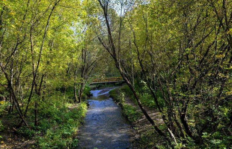 В Перми обустроили экологическую тропу в долине реки Егошихи