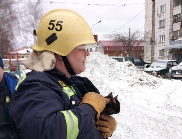 ​Спасатели в Перми сняли с крыши ЦТП котенка