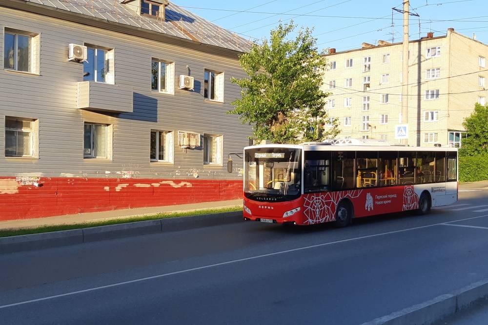 Краевые власти отказались от приобретения транспорта у совладельца «Волжских автобусов»