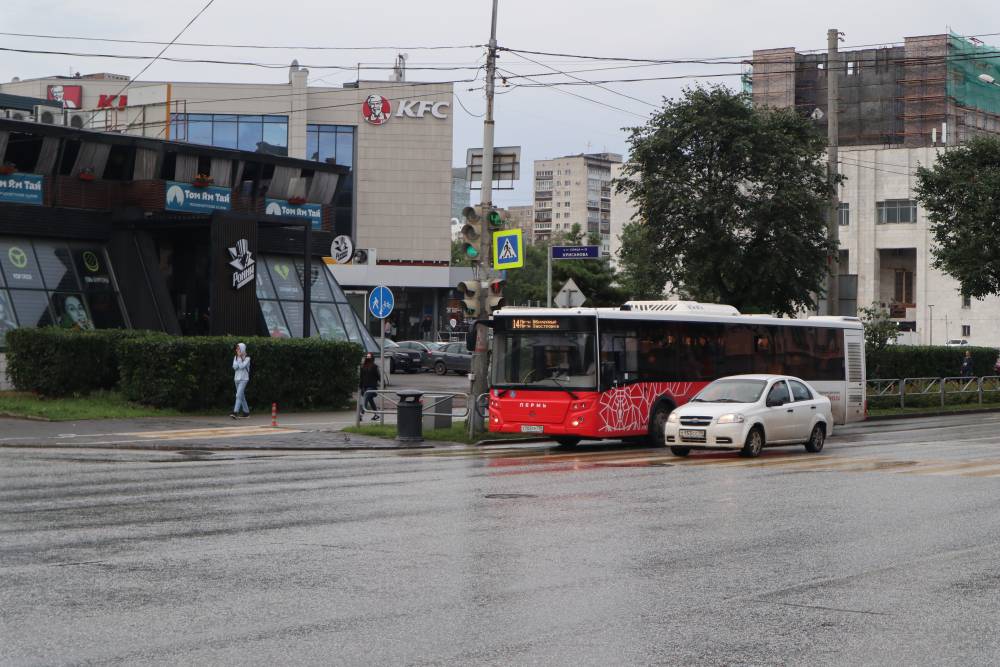 В Перми планируют запустить кольцевой автобусный маршрут