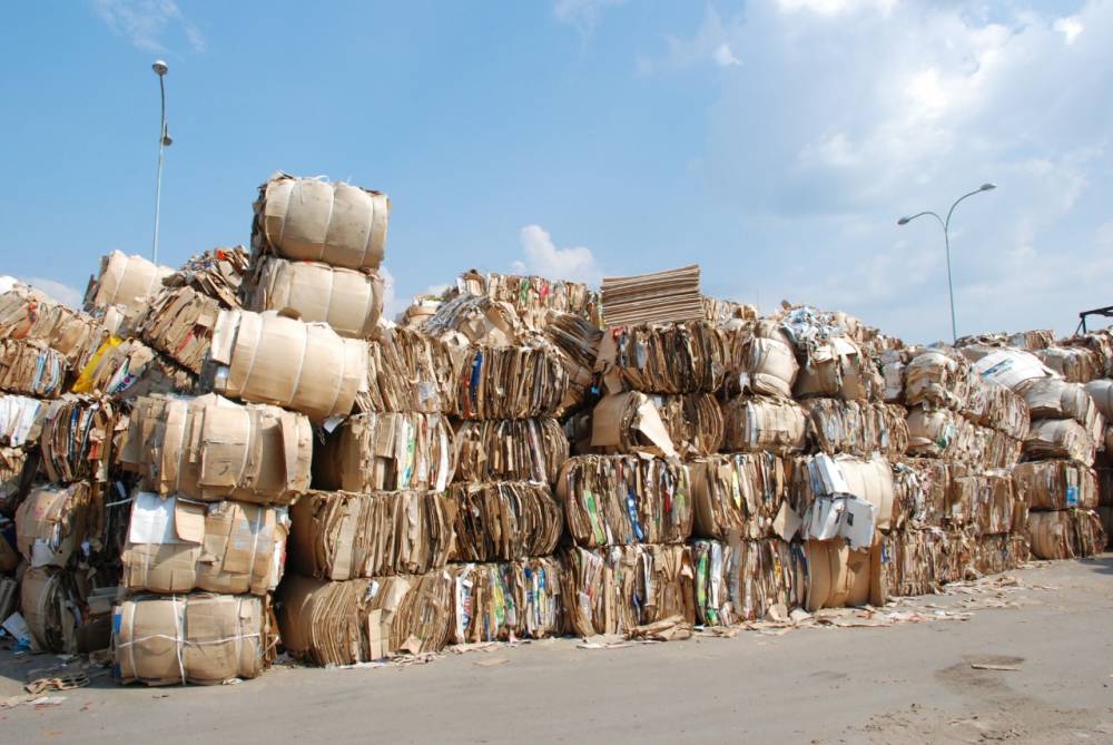 ​ПЦБК представит на ПИПФ экологичную упаковку и расскажет о цифровизации производства