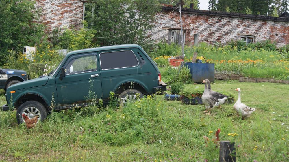 ​В Перми за неделю выявлено 39 случаев незаконной парковки на газонах