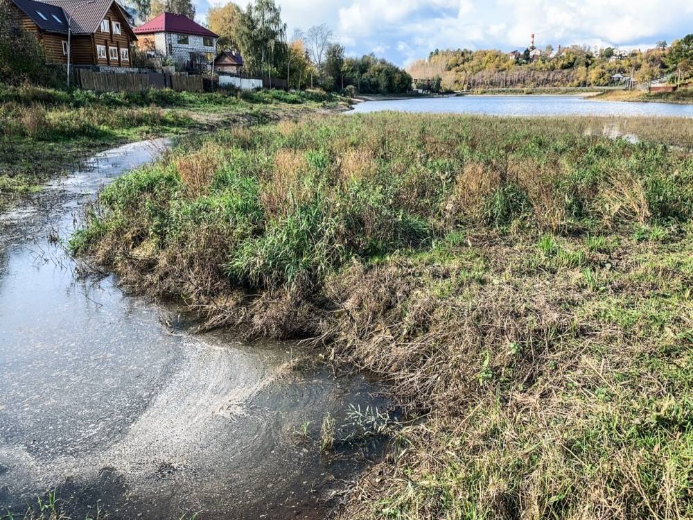 ​Общественники проверили результаты работ по очистке Мотовилихинского пруда