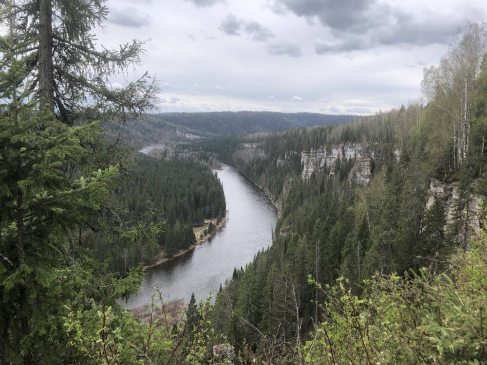 В Губахинском округе Прикамья планируют открыть эко-глэмпинг на реке Усьве