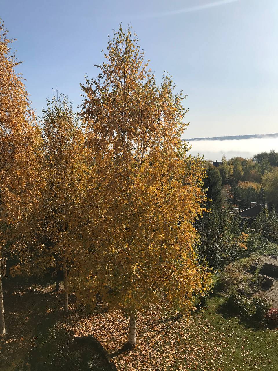 ​МегаФон запустил интернет до 100 Мбит/с в живописных уголках Пермского края