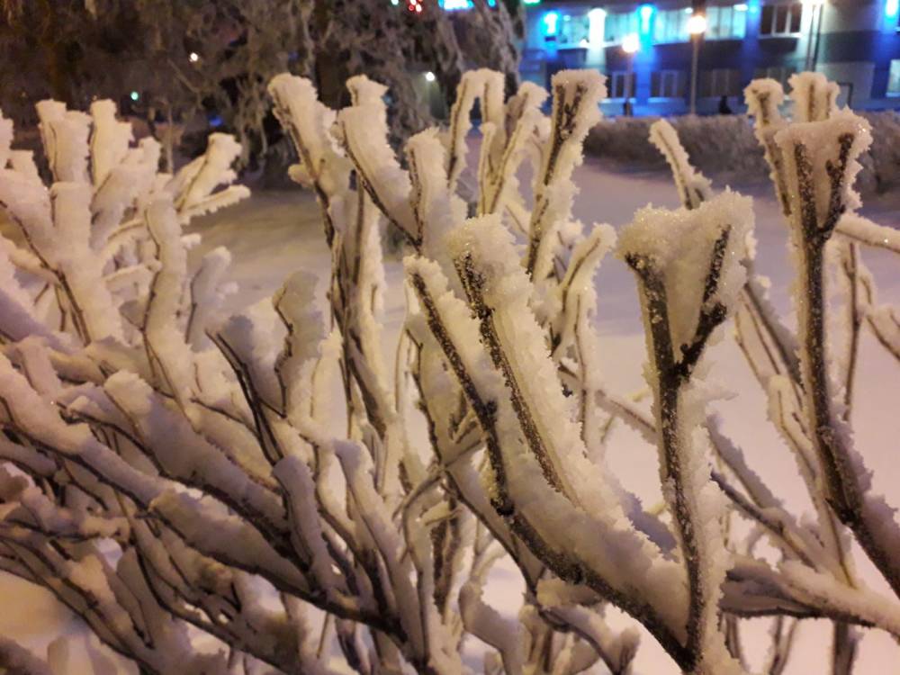 К концу недели в Прикамье ожидаются морозы до -25 градусов