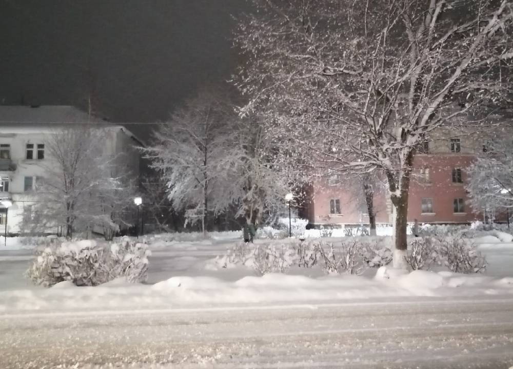  В Пермском крае выпало до 20 сантиметров снега