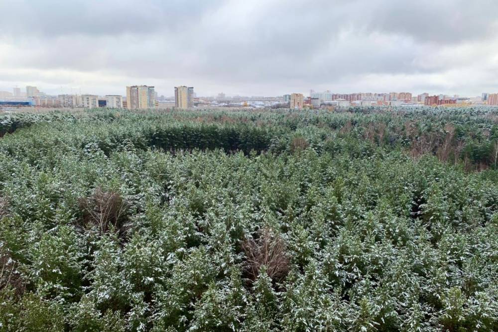 ​В Пермском крае в выходные ожидается снег, дождь и кратковременное потепление