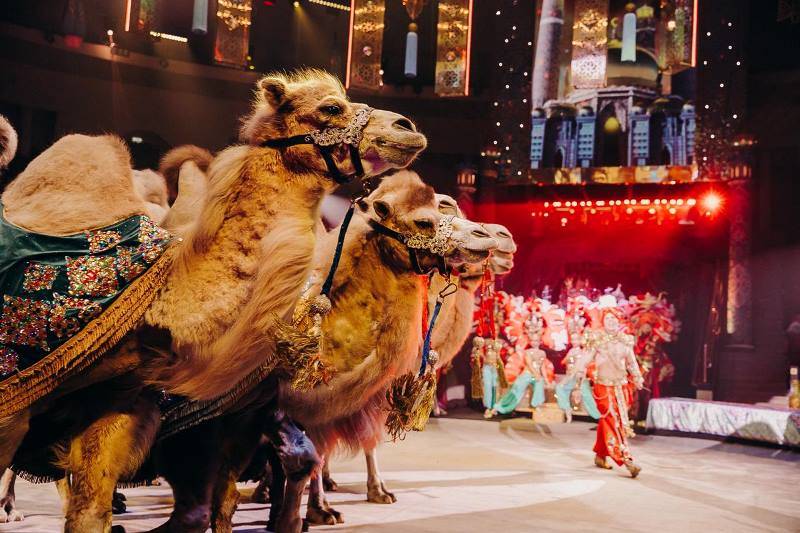 В Пермском цирке состоится премьера шоу «Песчаная сказка» (0+)