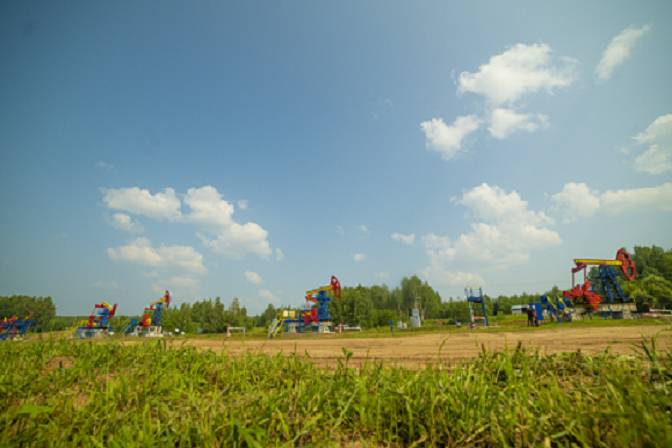 Пермские нефтяники защитили  от клещей  свою территорию и работников