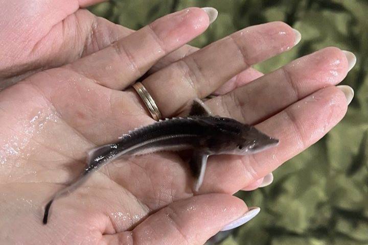 Экополитика – в действии. «Метафракс Кемикалс» системно работает над экологичностью производств