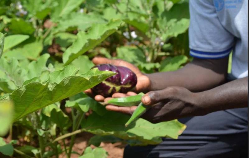 «Уралкалий» — участник проекта Action Africa: Thriving Farms, Thriving Future 