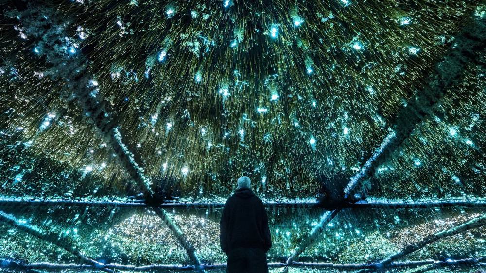 ​Фестиваль «Просвет» пройдет в Перми в новом формате