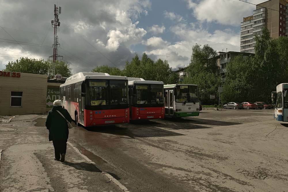 «Пермгорэлектротранс» получит еще два автобусных маршрута