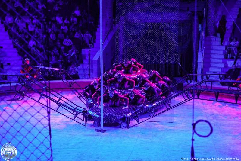 На премьере шоу Гии Эрадзе «Песчаная сказка» в Пермском цирке был аншлаг (0+)