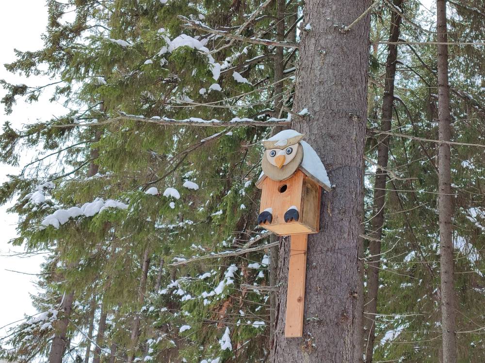 ​Метеорологи рассказали о погоде в Пермском крае в выходные