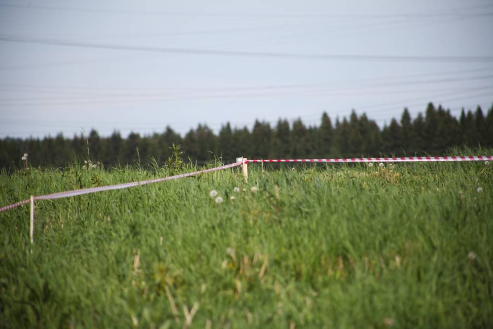 Депутаты Пермской городской Думы поддержали запрет жилой застройки бывшего полигона ВКИУ