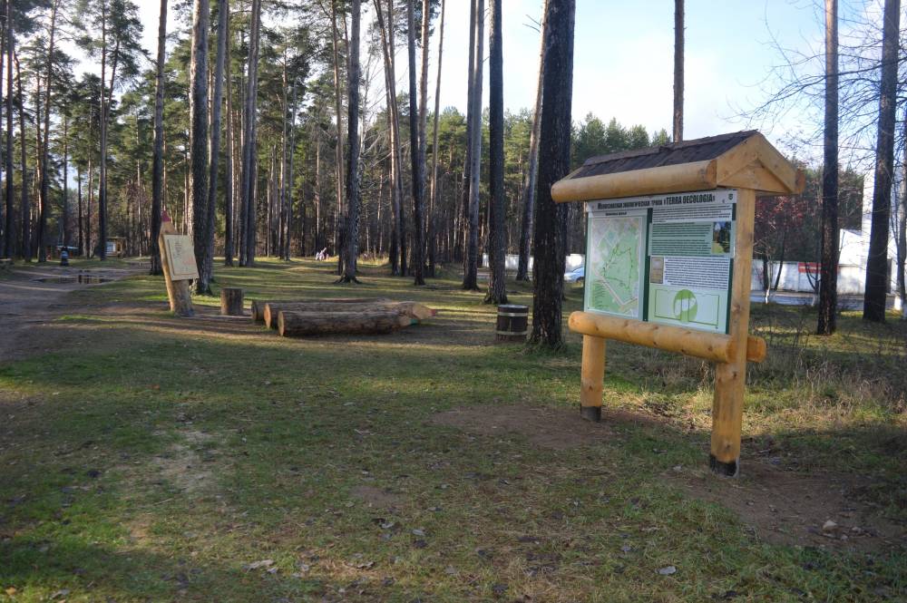 В 2019 году в пермских лесах открыто четыре экологических тропы