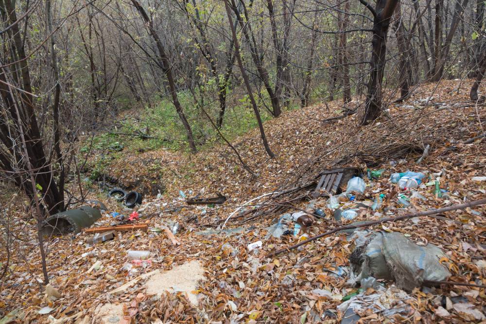 ​В Перми на свалке обнаружили токсичное химическое вещество 