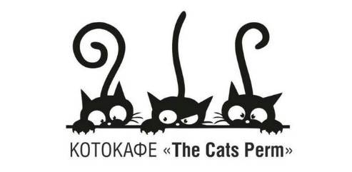 ​В Перми за 500 тысяч рублей продается котокафе 