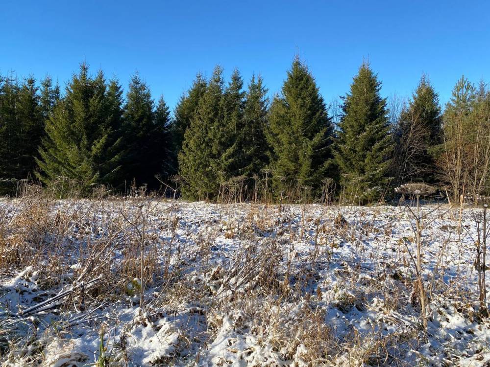 Бизнесмен из Тюмени выкупил земли пермского банка  