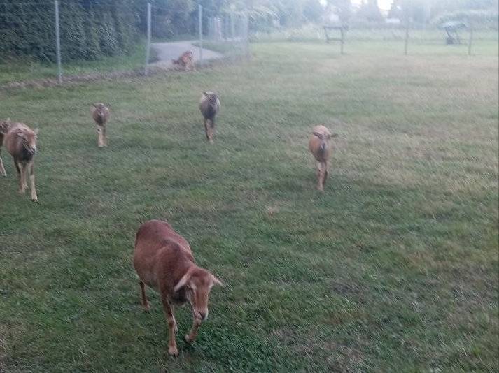 Метеорологи спрогнозировали дожди и похолодание в Пермском крае