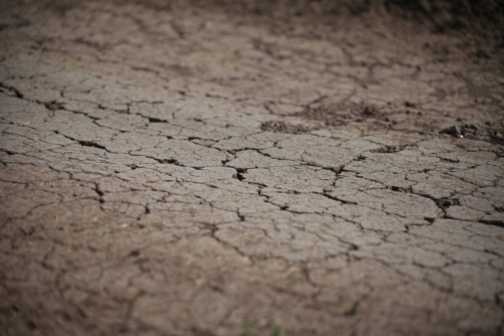 Аномально засушливый период в Пермском крае продержится более 50 дней