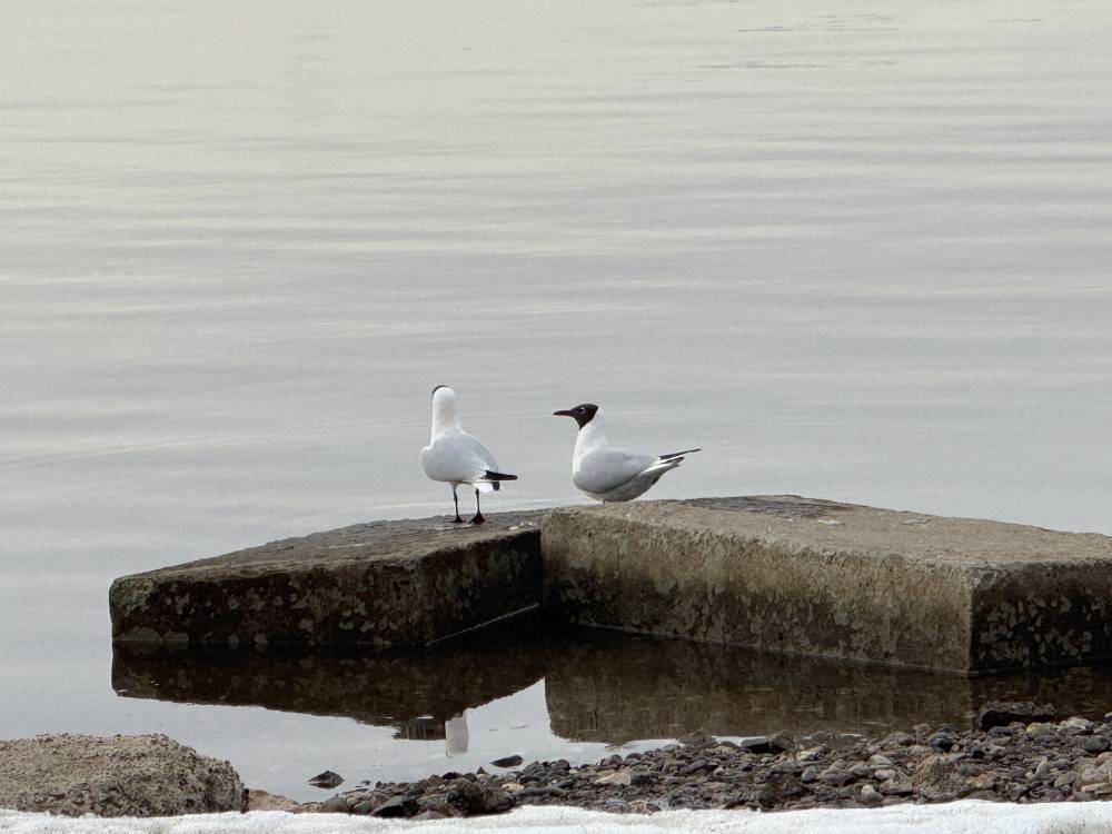 В Прикамье на выходных потеплеет до +14 градусов
