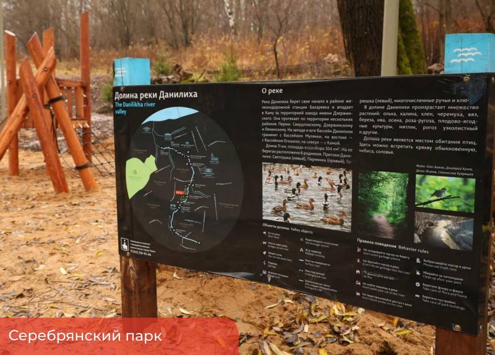 В Серебрянском парке ведутся работы по озеленению и строительству двух дождевых садов