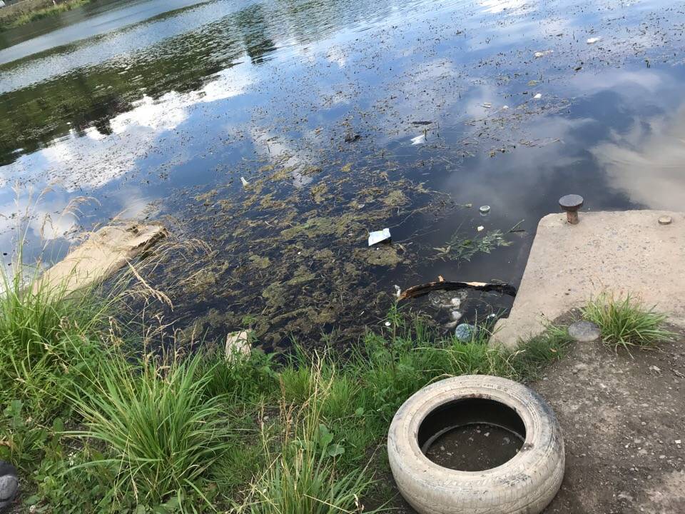 Общественники проверили пляж в Мотовилихе