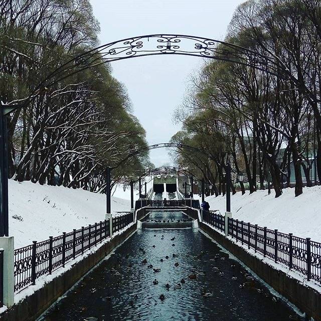 Соцсети: жители разных районов Прикамья поделились фотографиями «наступившей зимы» 