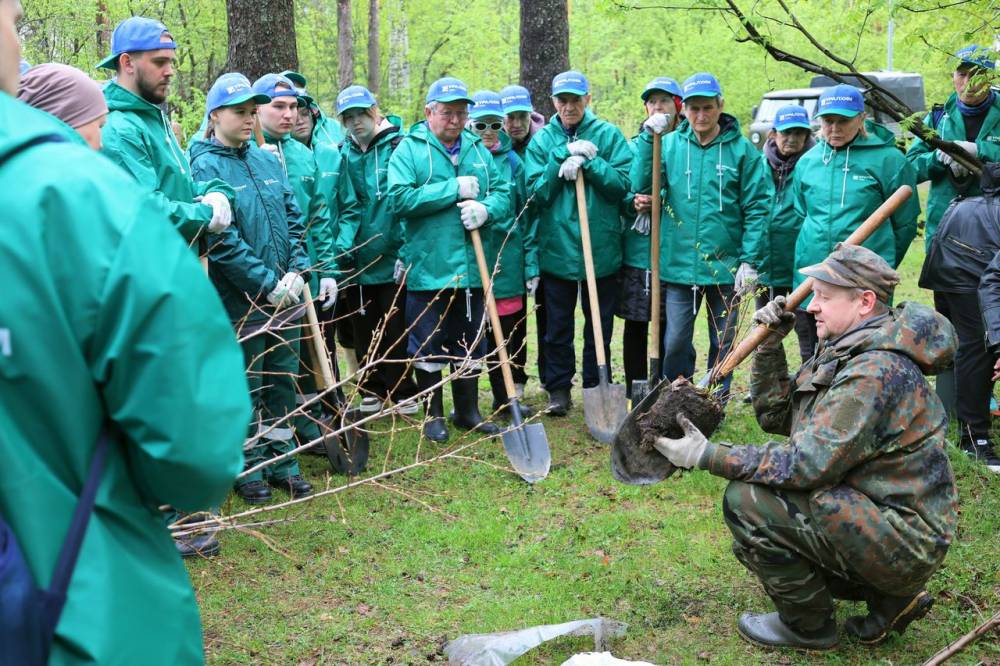 «Уралхим» высадил цветущие деревья в Черняевском лесу