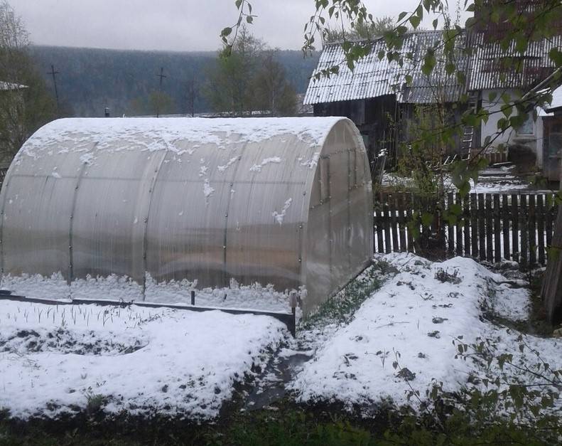 В Перми выпал снег: жители делятся фотографиями атмосферного явления в соцсети