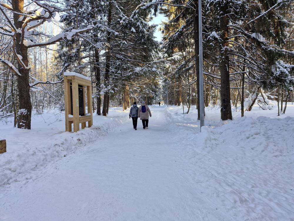 ​Центры в порядке. Как прошло заседание Пермской городской Думы?