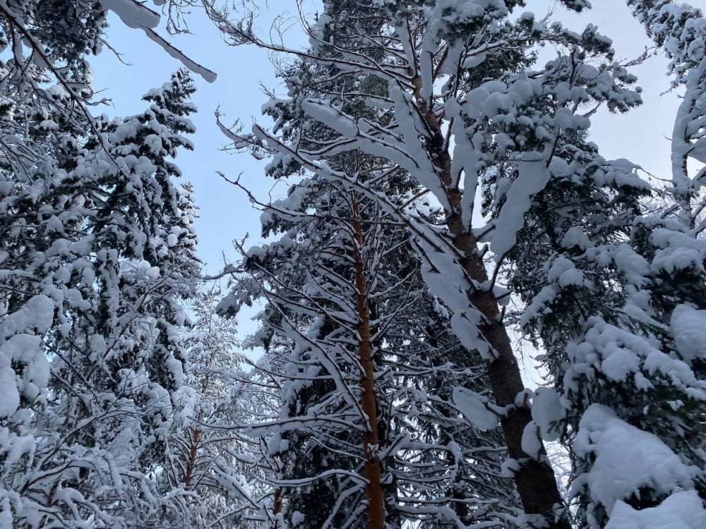 ​В Пермском крае ожидается сильнейший снегопад за последние восемь лет