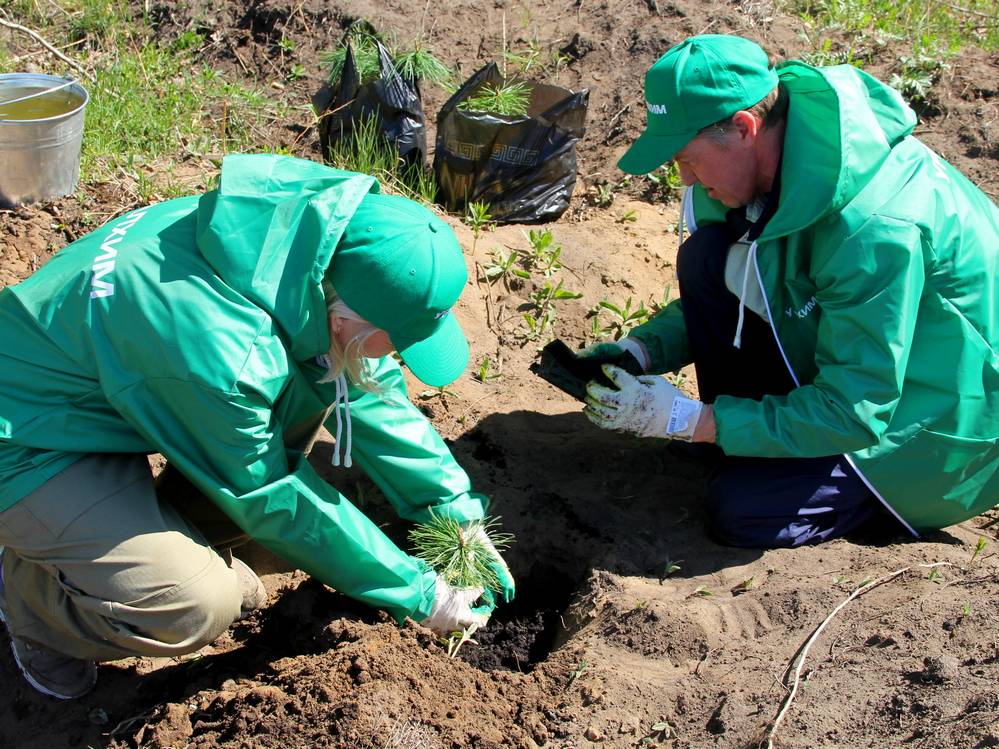 Филиал «ПМУ» подвел итоги благотворительной деятельности в 2023 году