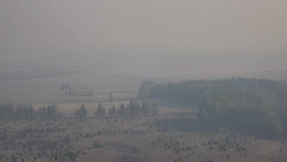 ​Пермский лесопожарный центр опубликовал видео с пеленой дымки в регионе 