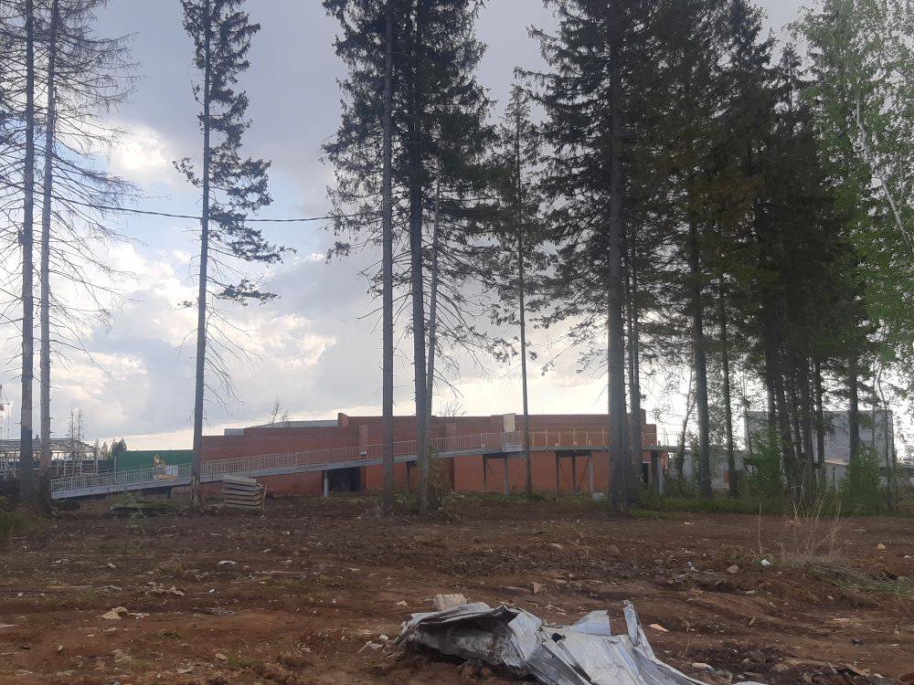 Животным слева приготовиться. Что происходит на стройплощадке пермского зоопарка