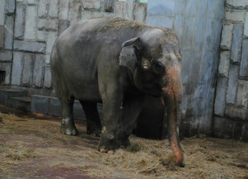 Без дверей, но полон событий. Как 2011 год изменил Пермский край?