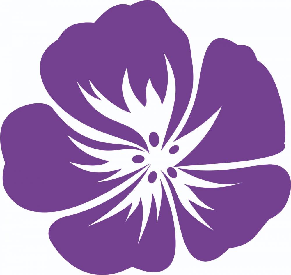 Бесплатная доставка от кондитерской «Виолет»