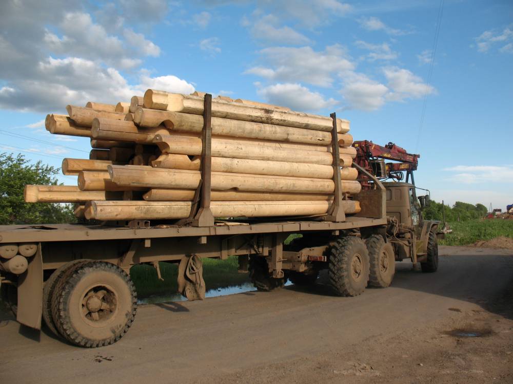 Доходы бюджета Пермского края от лесной промышленности увеличились на 26%