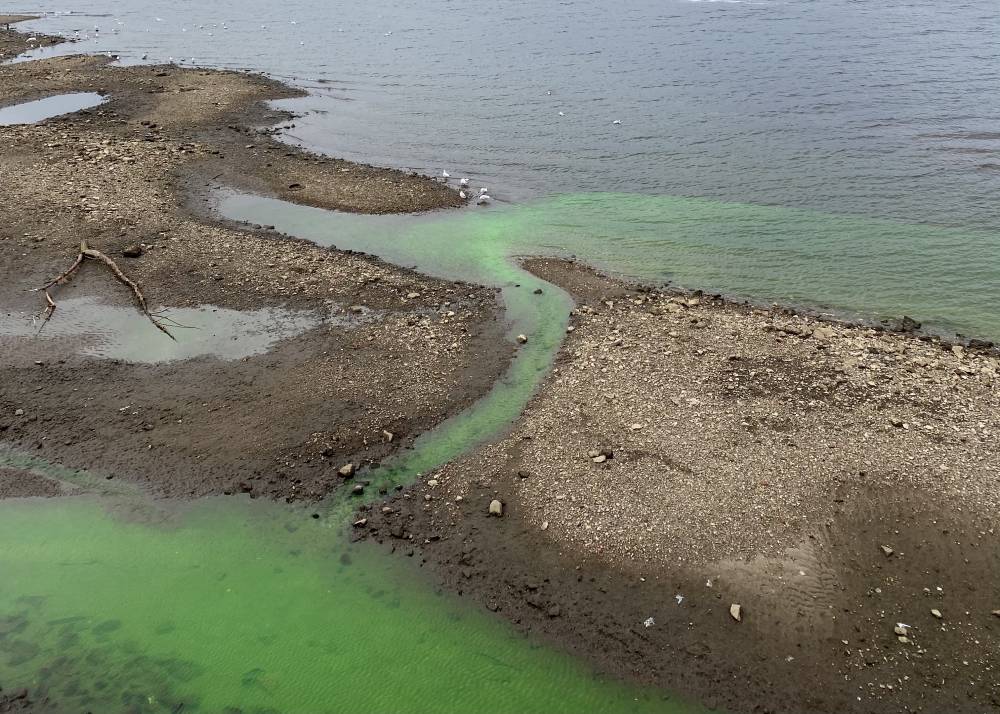 В Перми прокуратура проверяет реки, окрашенные в зеленый цвет
