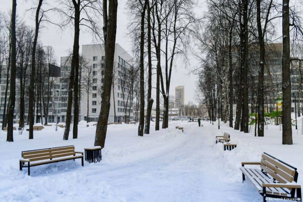 В Перми открыли новый муниципальный парк, его назовут в честь актера