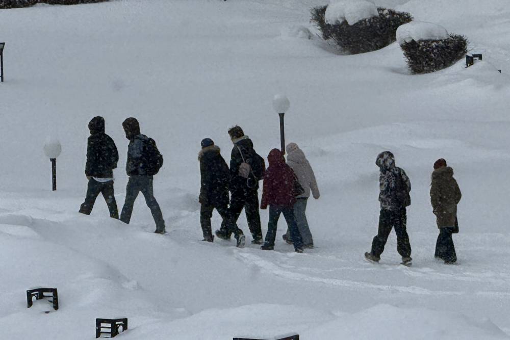 ​Метеорологи: февральские снегопады приблизили Прикамье к рекордным значениям по высоте покрова