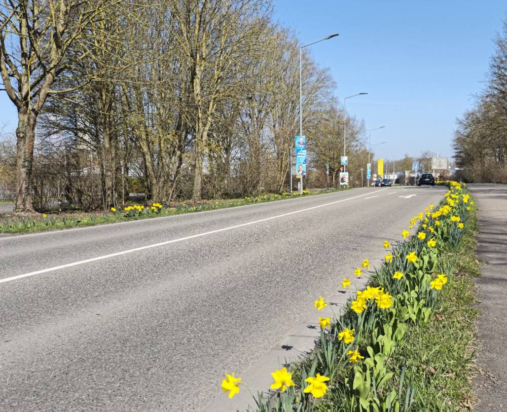 Пятый подряд суточный рекорд тепла зафиксирован в Перми