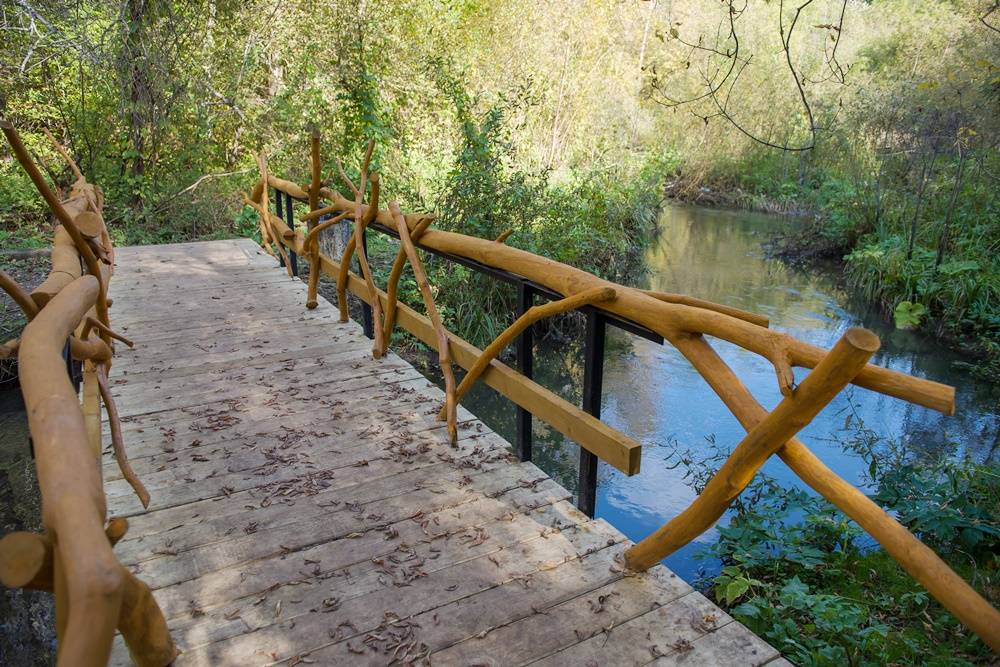 Новый экологический маршрут «Тропа к Егошихе» появился в самом сердце Перми