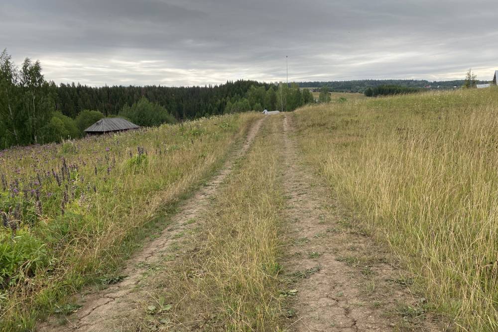 ​В Пермском крае ведутся поиски 67-летней женщины в желтом платье
