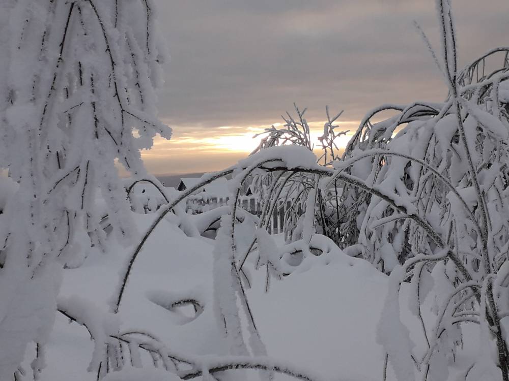 В выходные в Пермском крае ожидаются снегопады и потепление до 0°